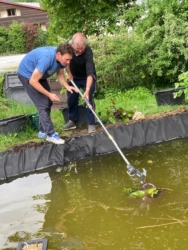 Teich im Schulgarten im neuen Gewand