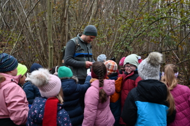 Waldbesuch mit dem Förster